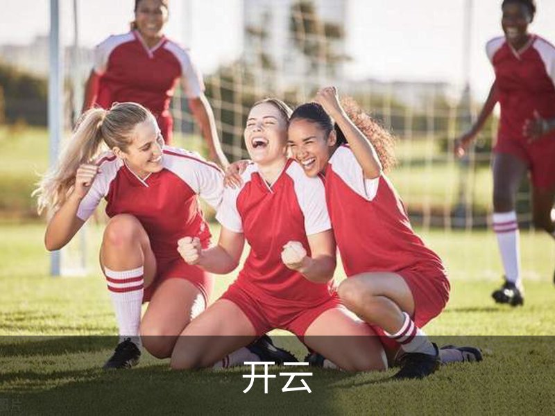 开云概况